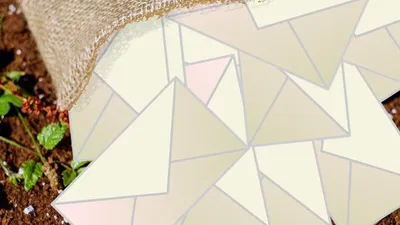 Email Harvesting Explained and How to Protect Yourself from It