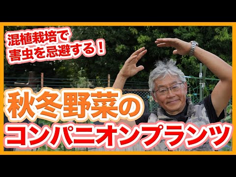 秋の間作で収穫量アップ！スペースを最大活用するコツ