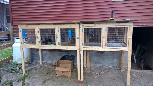 A sectional rabbit hutch with five separate entrances.