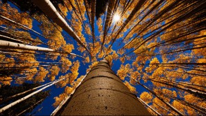 10 Wonderful Fall Words From Around The World