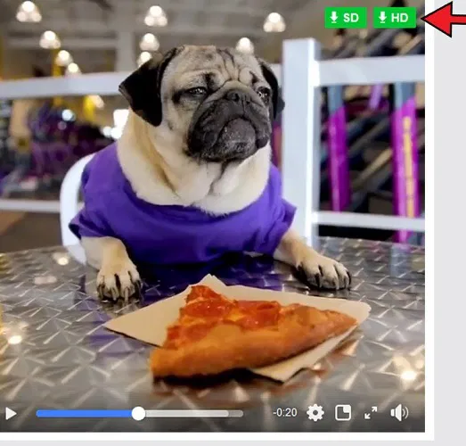 Firefox Social Extensions Video Downloader 1
