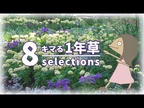 蜜蜂と蝶のための一年生植物5選 – プロが教える育て方と選び方