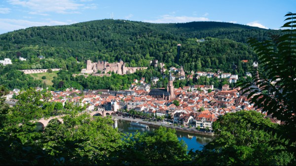 Everything You Wanted To Know About German Dialects