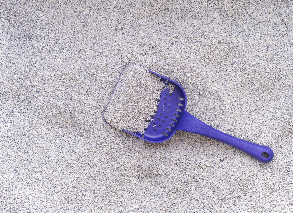 Clay cat litter with scoop
