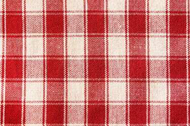 Gingham fabric