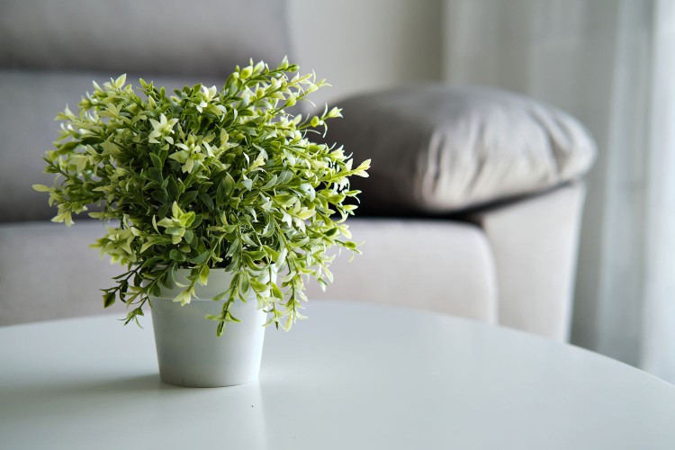 fake potted plant on coffee table
