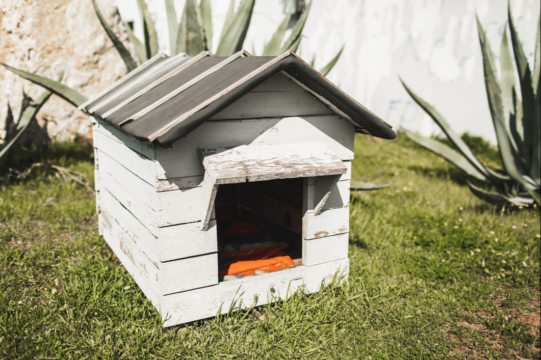 Pet house outside