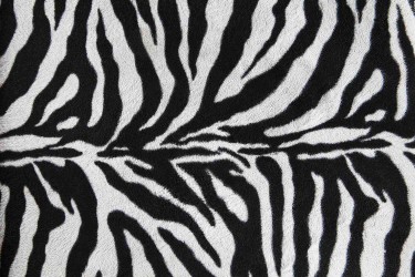 Zebra Fabric