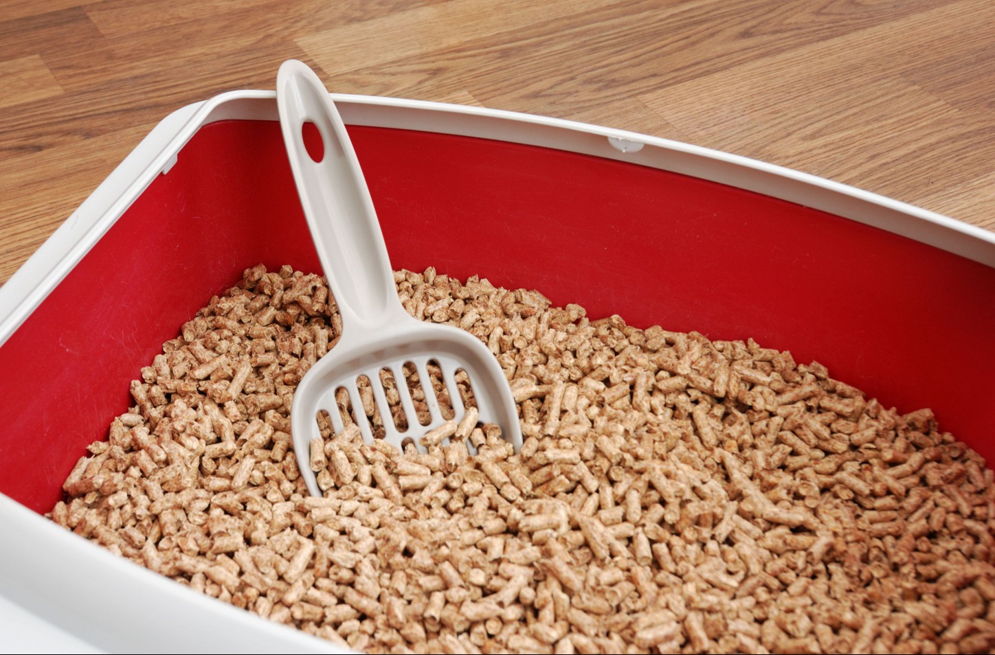 Pine litter in a cat box with a scoop