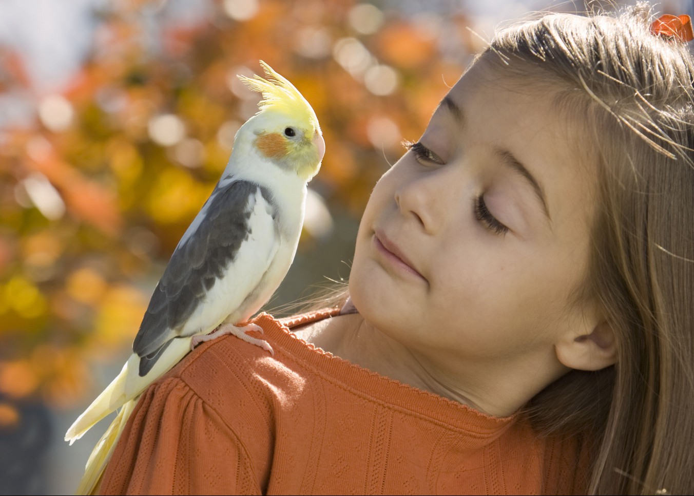 Girl with a cockatiel sitting on her shoulder