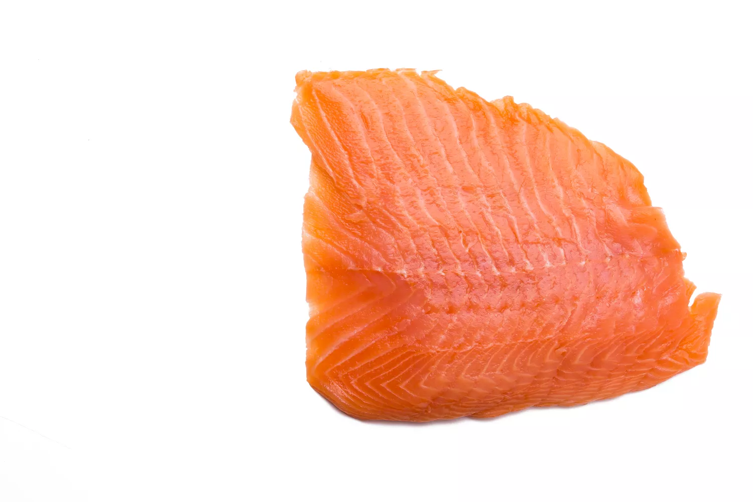 Salmon filet on a white background