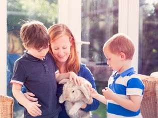 5 Kinds of Rabbit Tumors