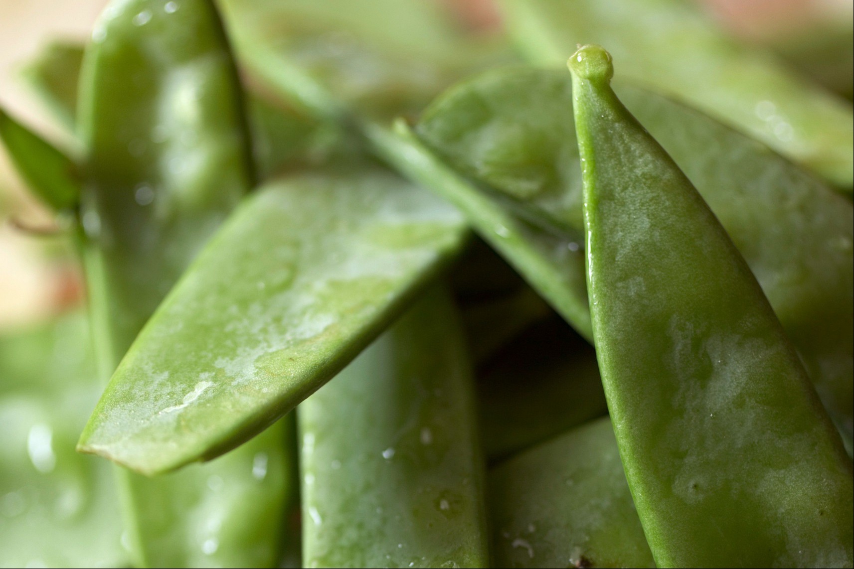 A pile of dewey snow peas