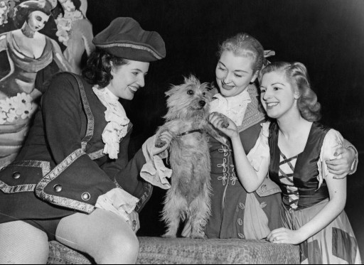 Scottish actresses and a Cairn Terrier