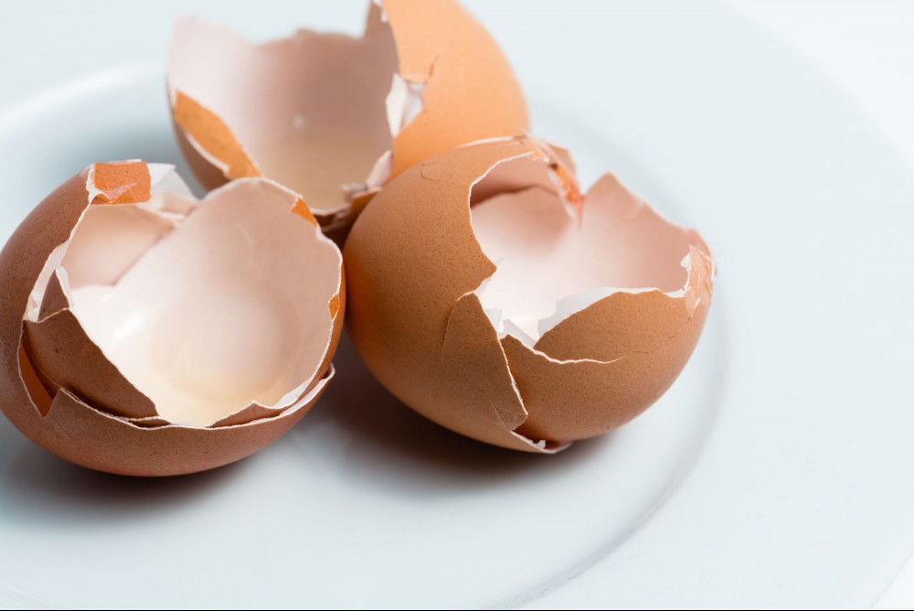 Egg shells