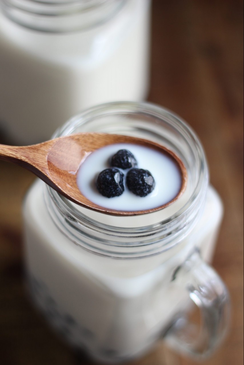 Homemade Boba