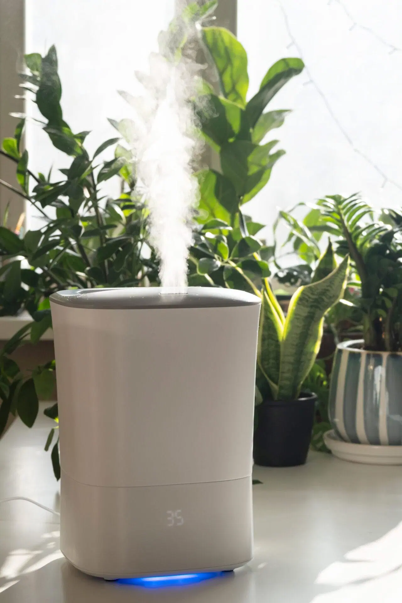 A humidifier running to keep the humidity at a comfortable level that won't cause condensation on windows. 