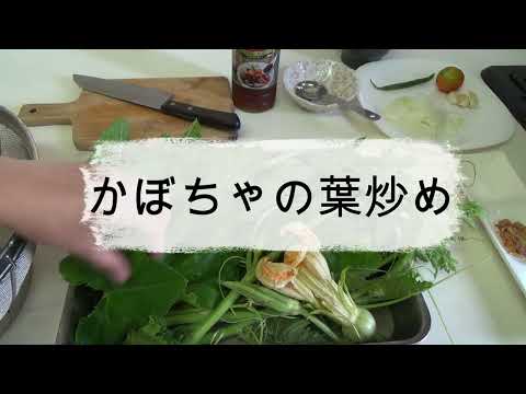 カボチャの葉が食べられるって知ってた？実体験レシピ