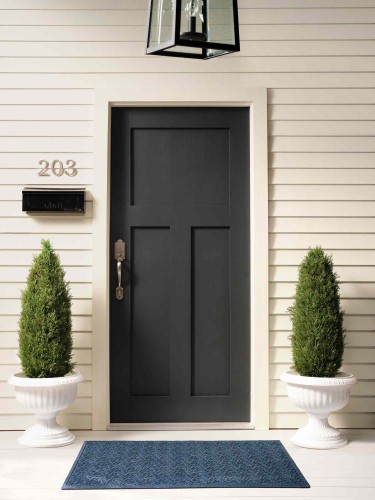 front door in iron ore