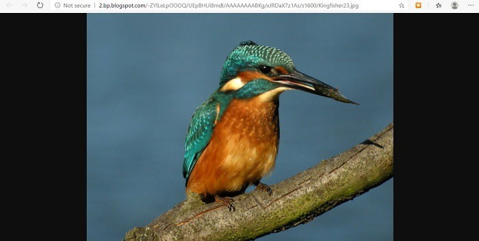 Is Bing Better Than Google Horizontal Image Scrolling Bing Full Size Image