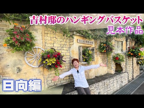 全日照に強い吊り下げバスケットのおすすめ植物5選