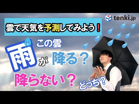 植物の天気予測、本当に当たる？仕組みと観察のコツ