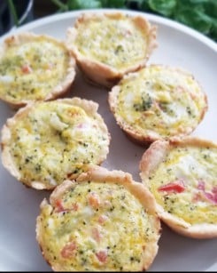 Quick n Easy Quiche Crust