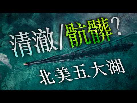 在来種ガーデニングの実体験：夏の水やりが半分に減った理由と失敗しない選び方