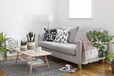 houseplants in tiny English living room