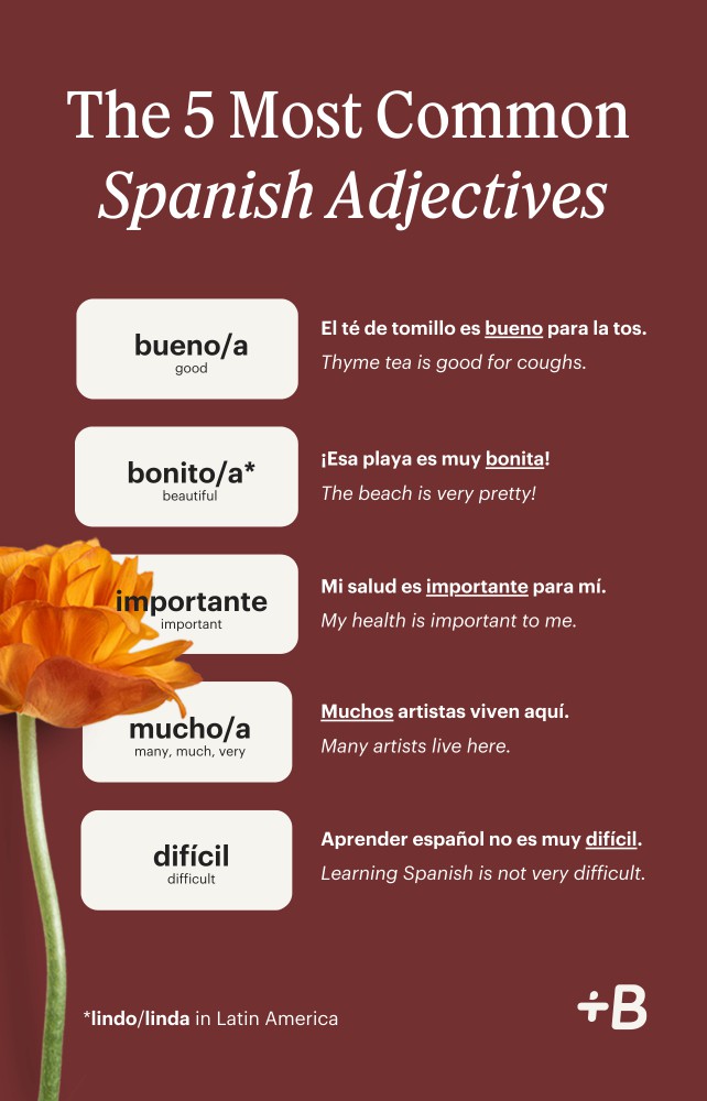 An infographic showing the most common Spanish adjectives.