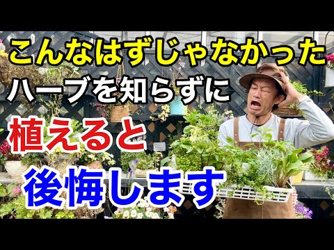 ハーブの間隔を守るだけで収穫量が倍になる？正しい間隔表とコツ