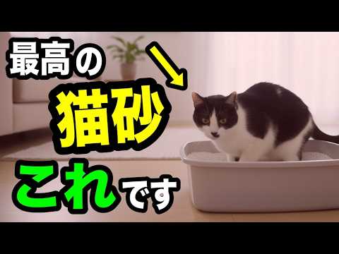 猫砂の堆肥化は本当に安全？現役飼い主が語るリスクと現実的なエコ対策
