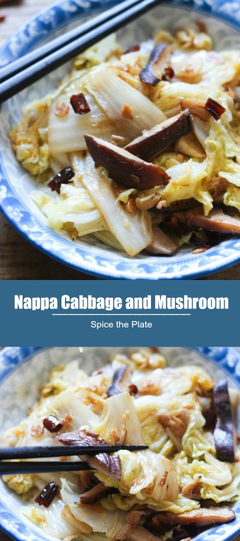 nappa cabbage and mushroom