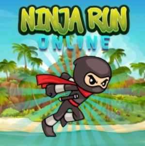 Ninja Adventure
