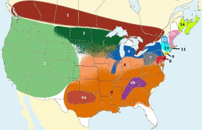 North American Dialect Map — Californian Accent