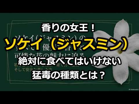 香りが強いジャスミン5選！おすすめ品種と選び方のコツ