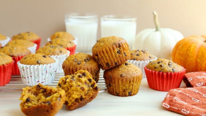 Pumpkin Chocolate Chip Muffins