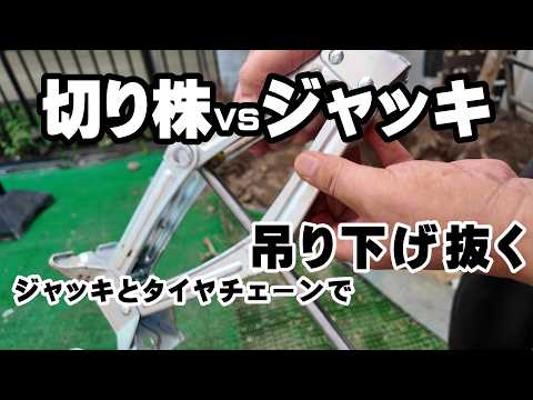 ゼロターンモーアの実体験！選び方とメンテナンスのコツ