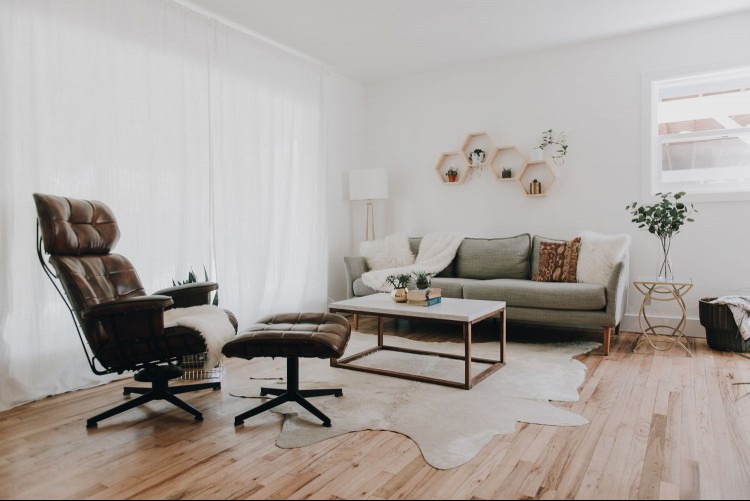 mid-century modern style living room