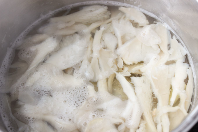 Oyster Mushroom