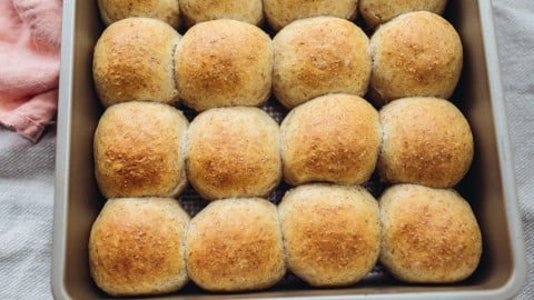 Easy Dinner Rolls