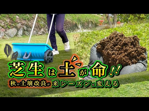 秋の芝生ケア、絶対にやっておくべき理由と具体的な手順をプロが解説