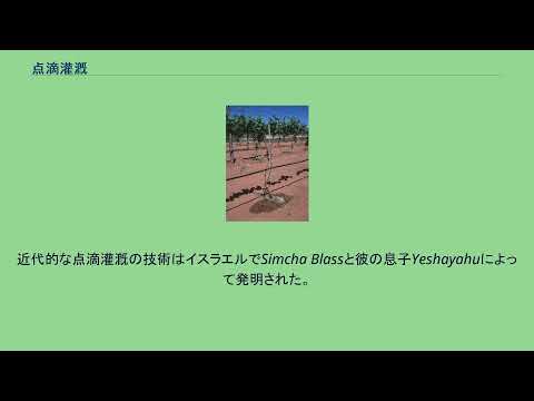 たった1時間で完了！ドリップ灌水システムの冬支度完全ガイド