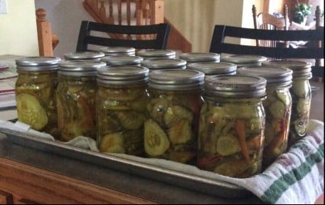 Bread and Butter Pickles