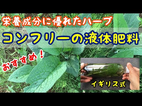 康复力油の効能と使い方！簡単レシピで効果を実感