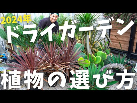 家庭菜園の共生関係を活用する効果的な実践テクニック
