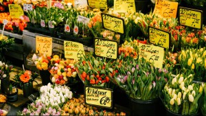 How To Count To 100 In Dutch
