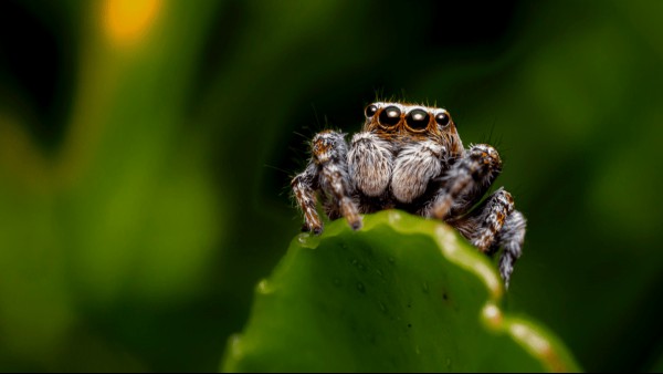 The Weirdest Superstitions From Around The World