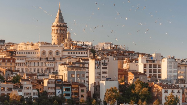 An Introduction To The Turkish Language
