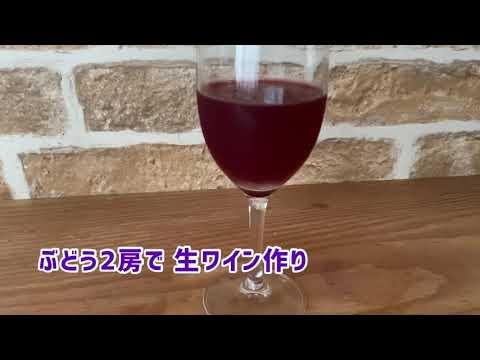 家庭でシャンパンを作る方法！初心者向け失敗しないコツ